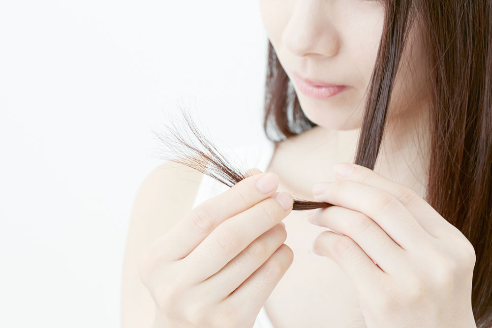 パサつき、抜け毛に効果的！季節の変わり目におすすめ髪・頭皮ケア
