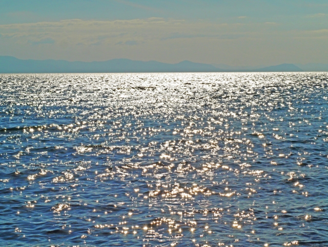 海