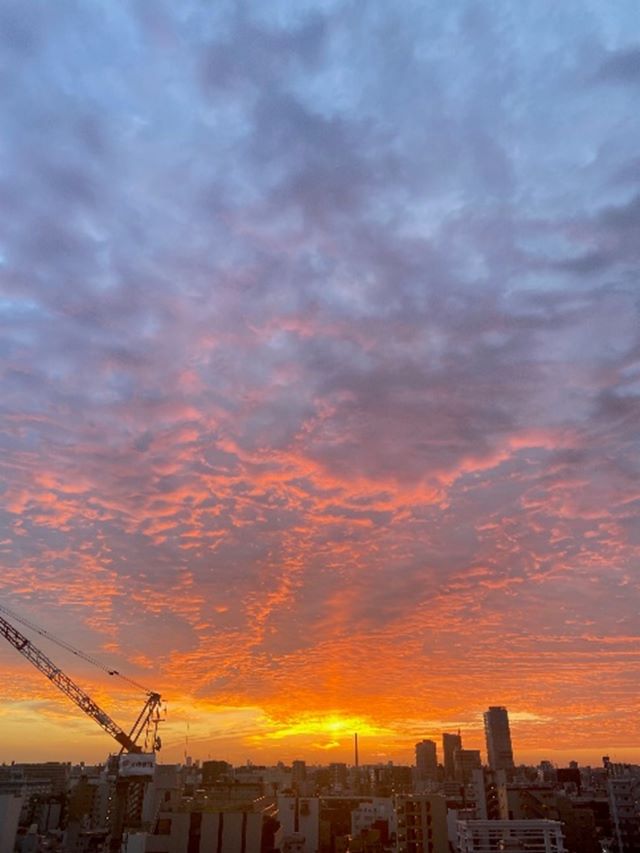 朝焼けの空
