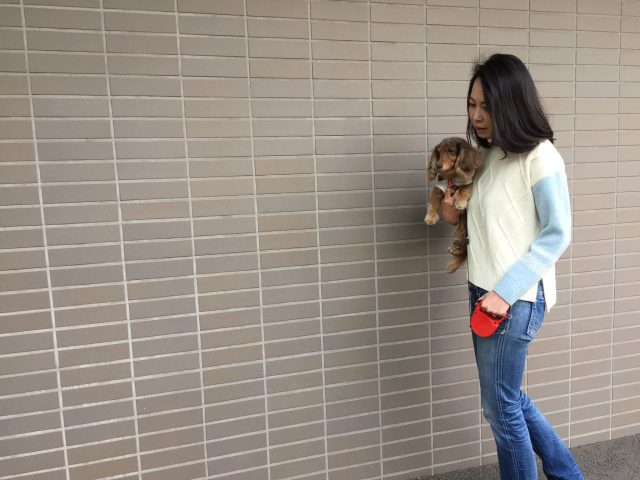栄養ちゃんプロフィール