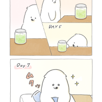 ザワークラウト