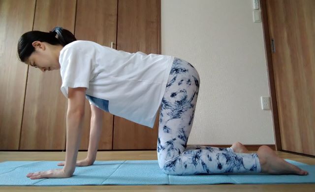 ヨガの四つん這いのポーズ