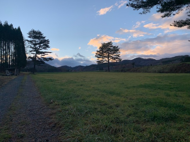 夕暮れ時の野原
