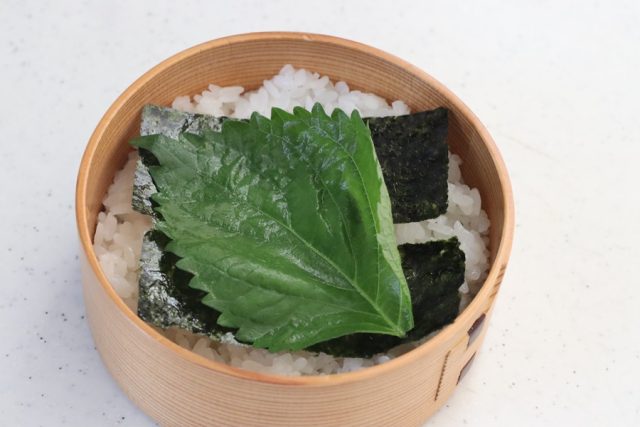 ごはん