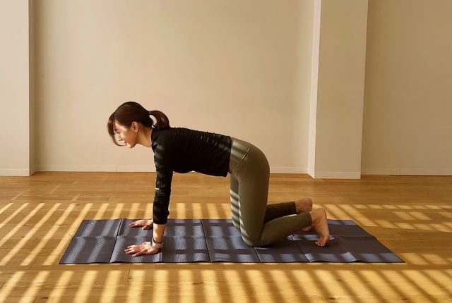 【痩せなくてもいいから、体型維持!】頑張りすぎない「内もも」のエクササイズ 四つ這い