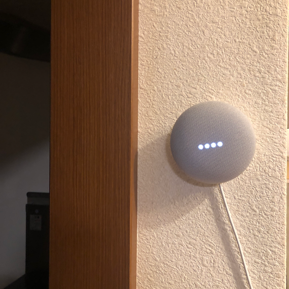 Google Nest Mini