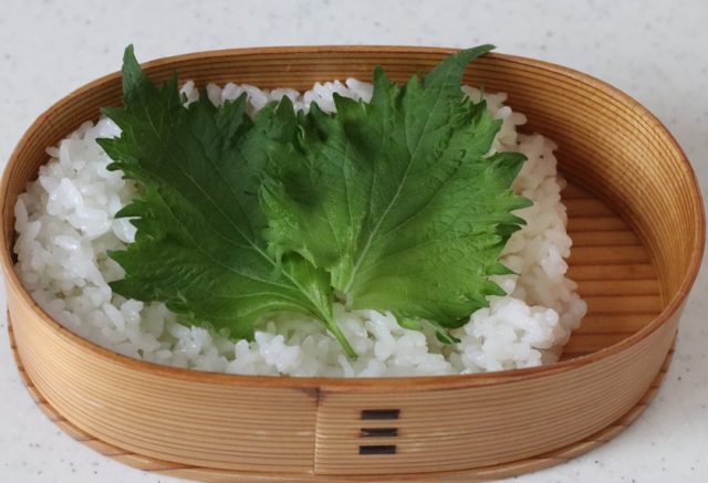 2品弁当の詰め方