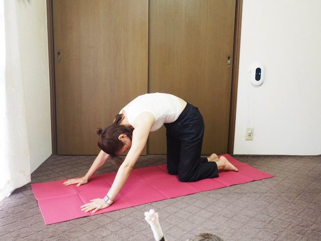 腰痛対策ストレッチ3 背中を高くして丸める