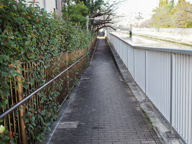 芭蕉俳句の散歩道