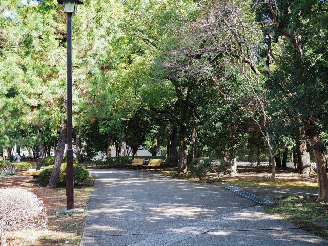 清澄公園