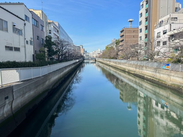 清澄白河の散歩