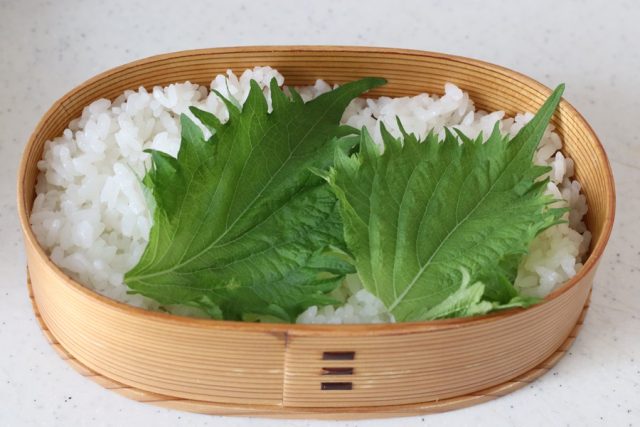 2品弁当の詰め方