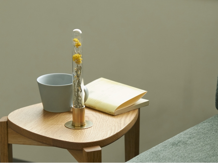 PICUS/HERBARIUM BRASS GLASS DOME & FLOWER VASE SOLID