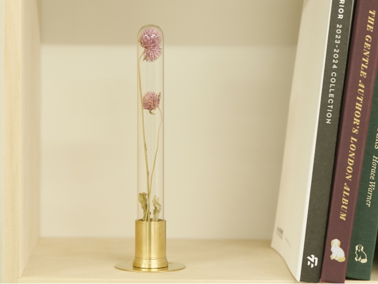 PICUS/HERBARIUM BRASS GLASS DOME & FLOWER VASE SOLID