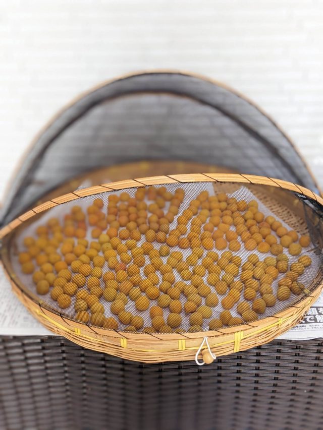 梅干し