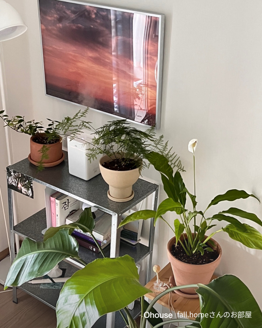 Ohouseユーザーさんのインテリア