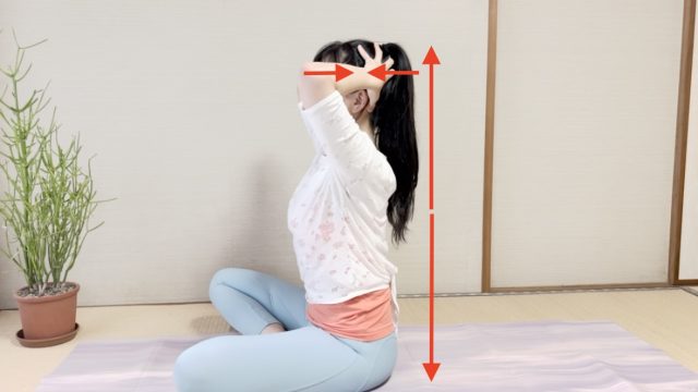 スパイン・ツイスト