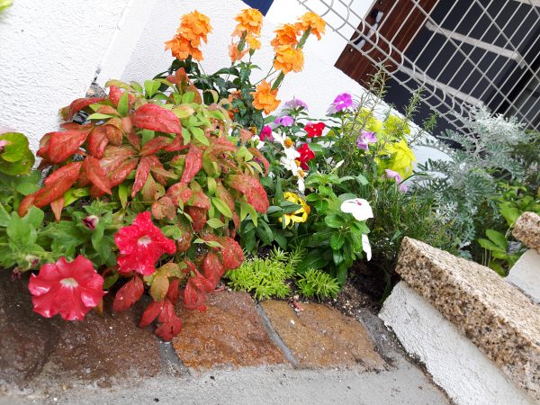 ガーデニング
