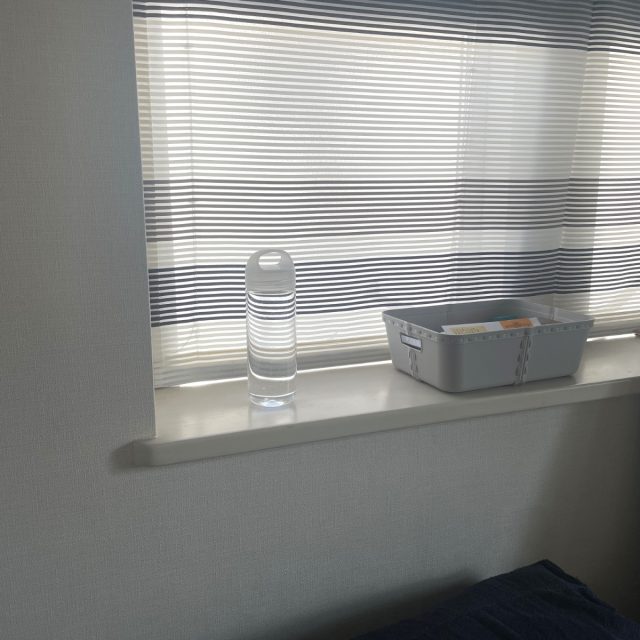 マーナ(MARNA) Daily ウォーターボトル 500ml cocuri