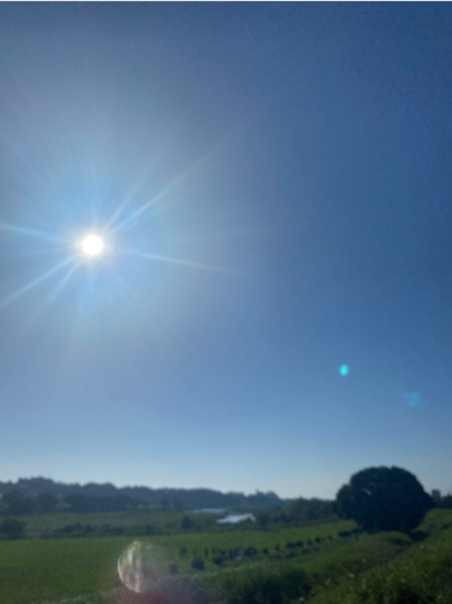 朝の空