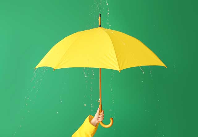 傘や靴にシュッとするだけ！雨のストレス解消「傘屋が作った防水スプレー」