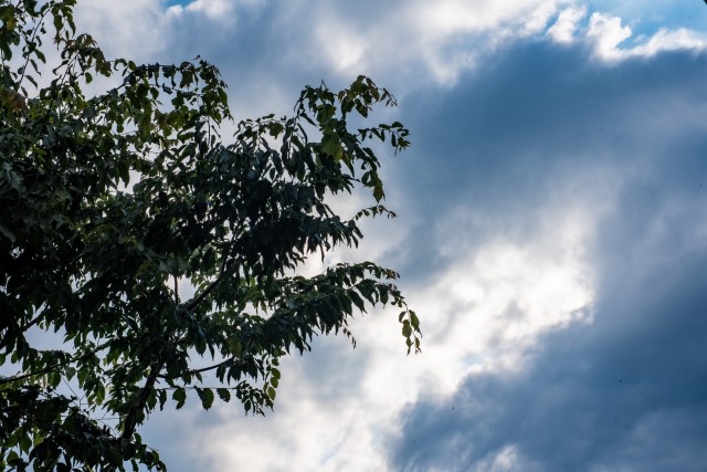 曇り空