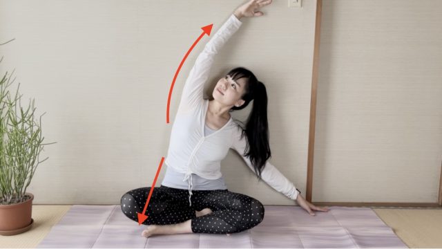 ストレッチ