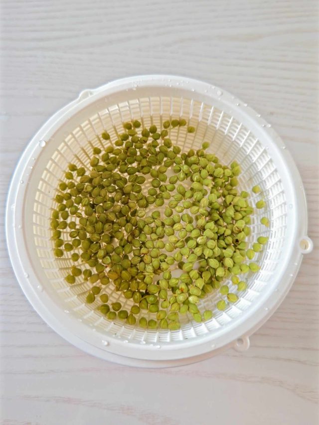 山椒の実