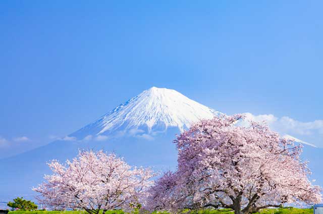 英語「It reminds me of Japan」の意味って？