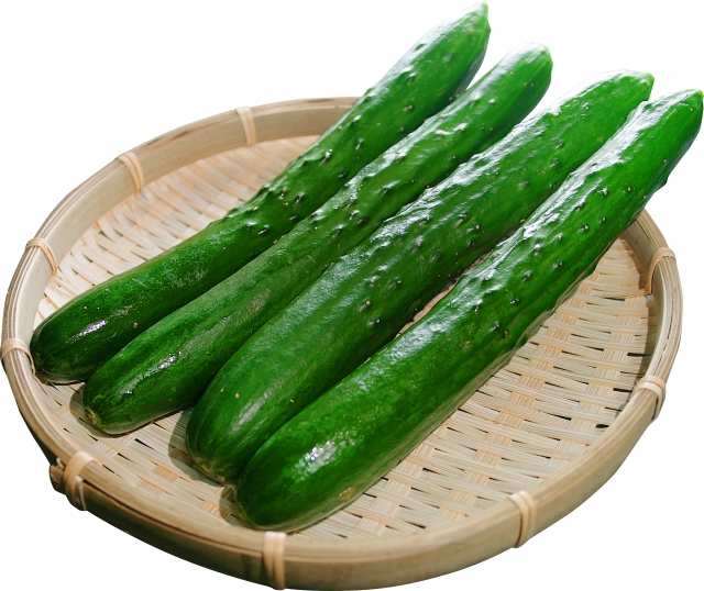 夏に欠かせない！「きゅうり」の保存方法＆選び方