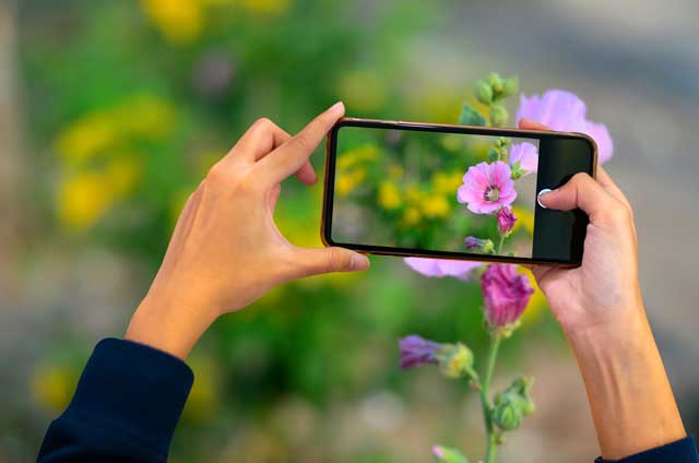 スマホ 写真