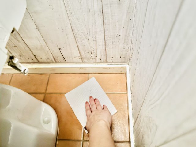 トイレの床