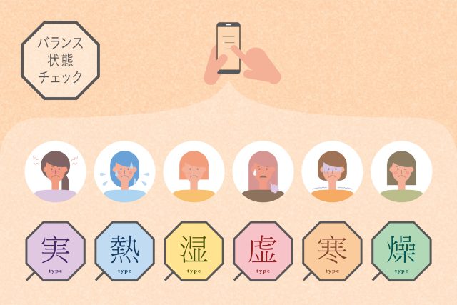 「虚-実、寒-熱、湿-燥」の3軸6要素のタイプ
