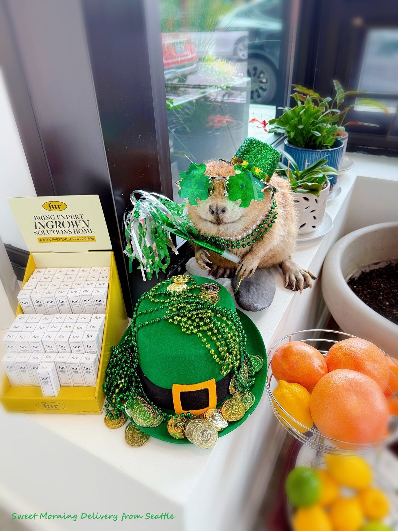 アイルランドのお祭り★St. Patrick’s Day