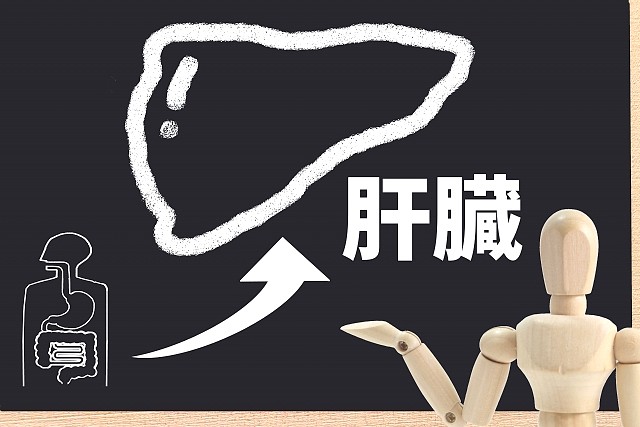 肌質改善の肝ぞうデトックス