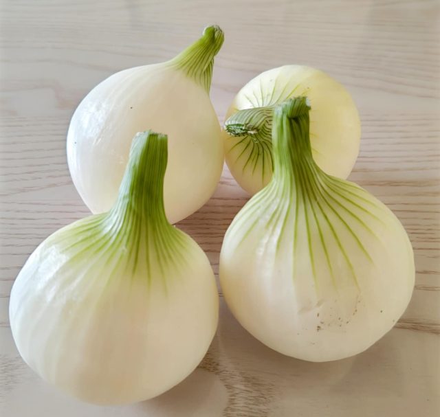 新玉ねぎ