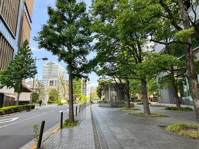 永田町の道