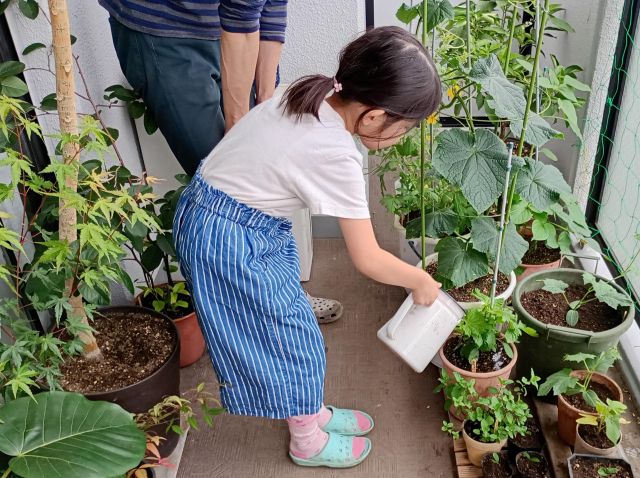 植物の水やりをする女の子