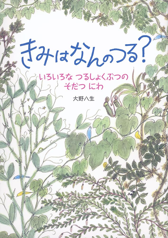 【日曜日の絵本】つるに注目！緑の庭のいろいろなつる植物を描く一冊