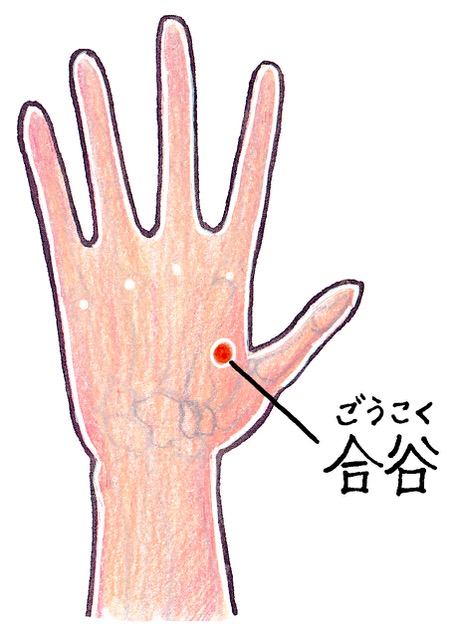 合谷(ごうこく)