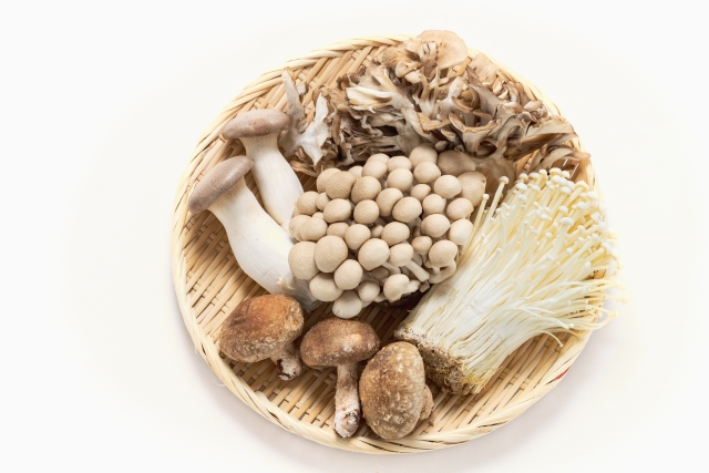 いろいろなきのこ