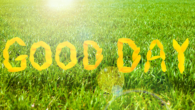 good day