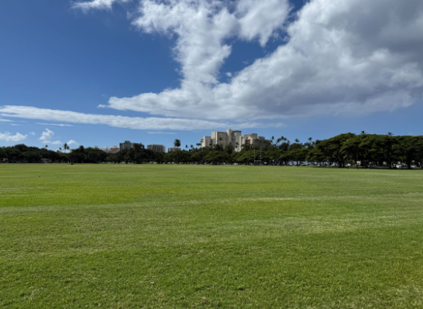 公園