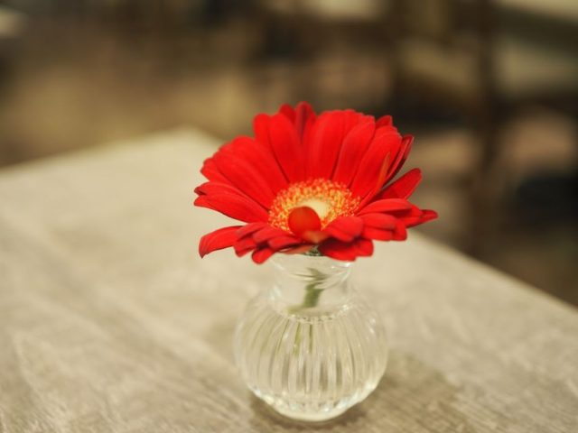 一輪挿しの花