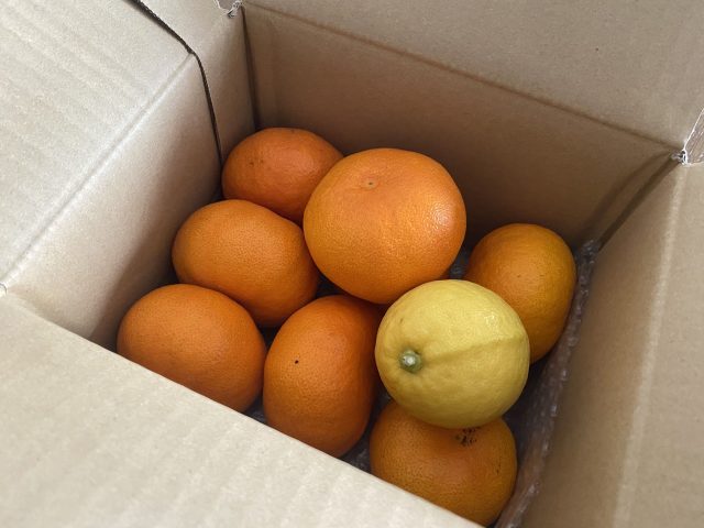みかん