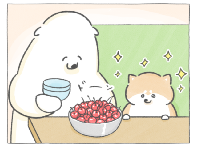 【四コマ漫画】vol.212｜旬のさくらんぼに大興奮！あっという間に完食したのは？