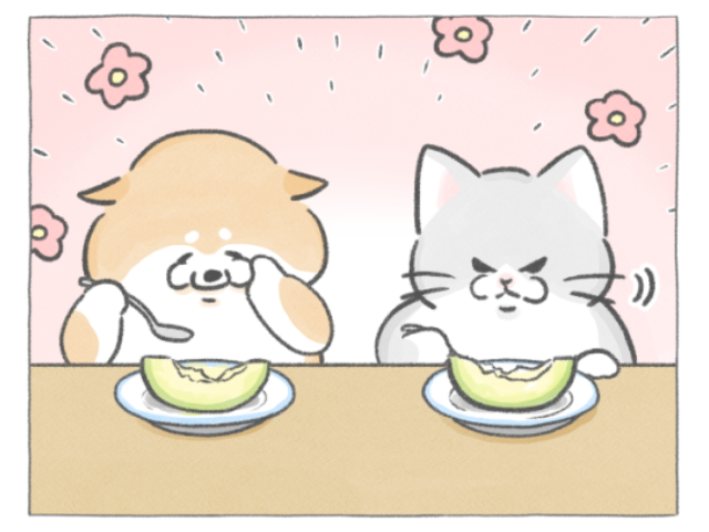 【四コマ漫画】vol.210｜今季初のメロン！最後まで味わい尽くす方法とは？