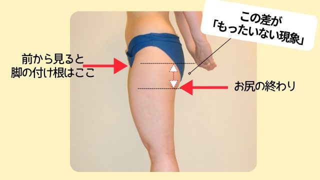 腹部