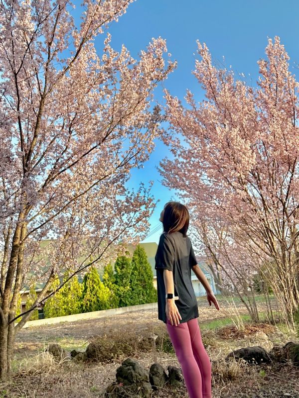 桜の下に立つ女性