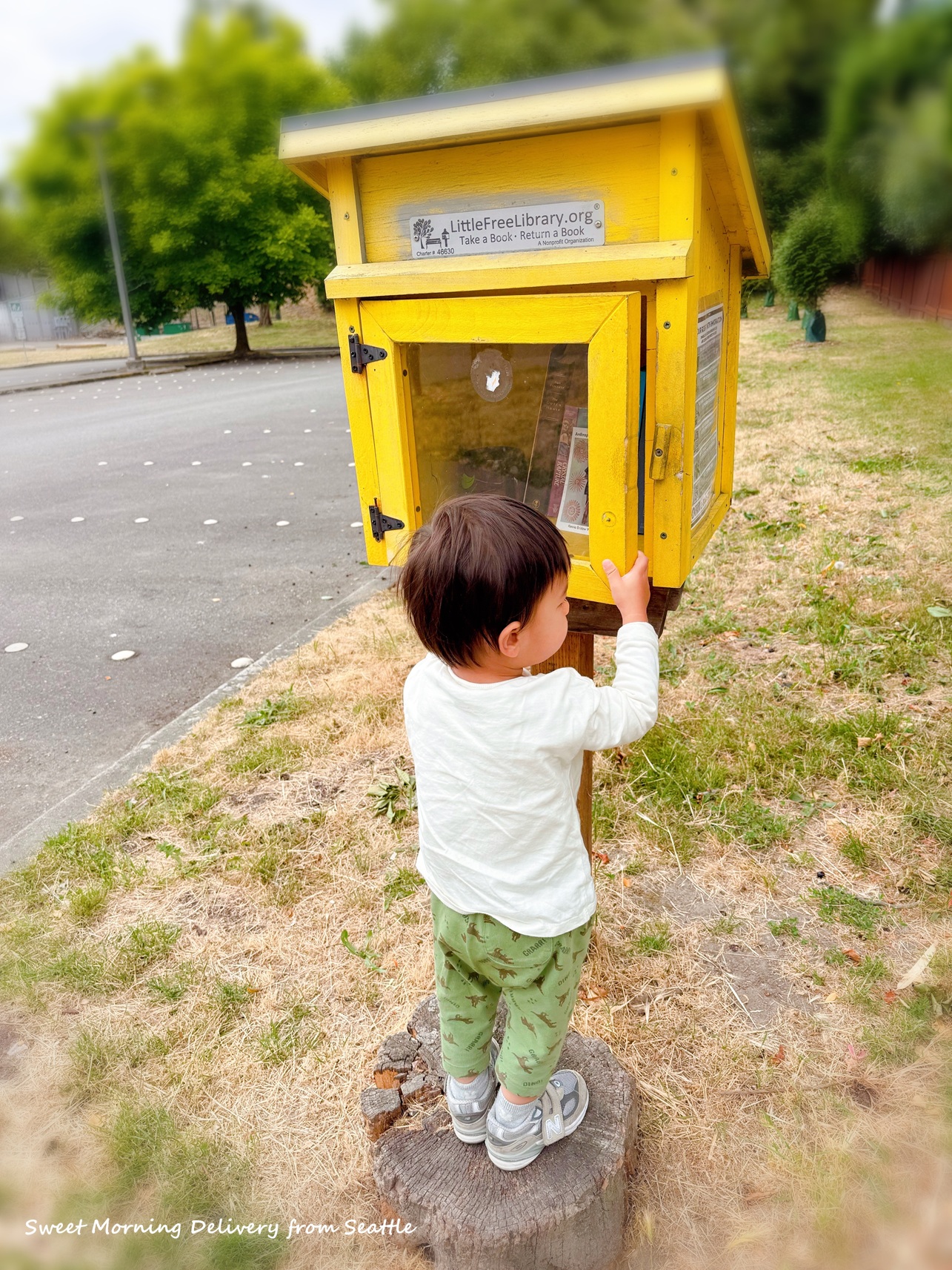 ご近所さんと本の交換：Free Little Library